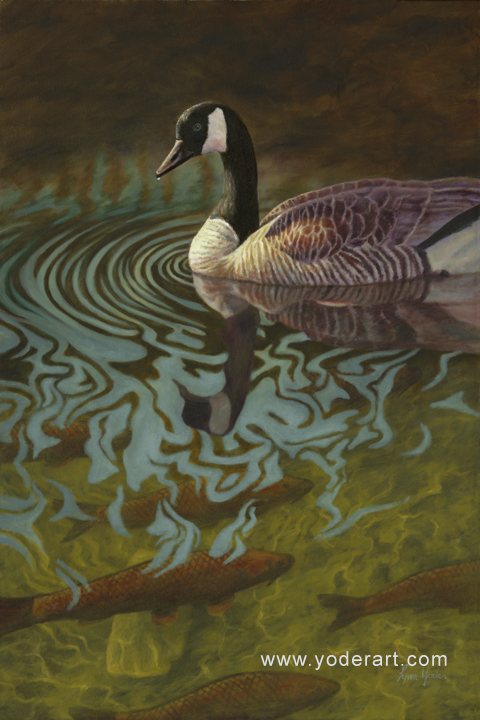 480x720 Swim Mates Goose Painting By Lynn Yoder - Goose Painting