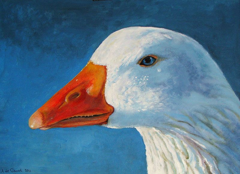 800x581 White Goose By Dutchway - Goose Painting