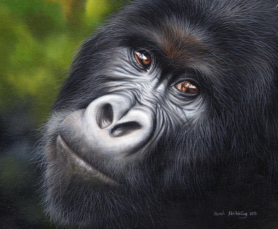 900x743 Gorilla Painting By Sarah Stribbling - Gorilla Painting