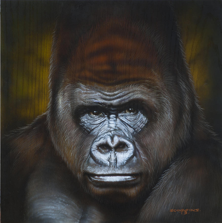 899x900 Gorilla Painting By Timothy Scoggins - Gorilla Painting