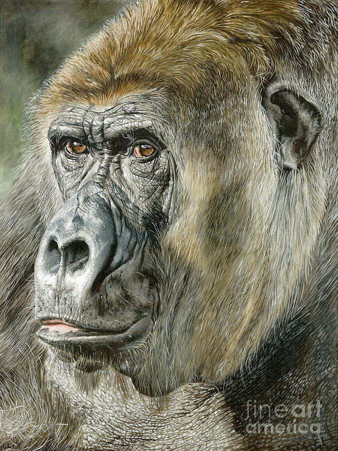 675x900 Gorilla Painting By True Image - Gorilla Painting