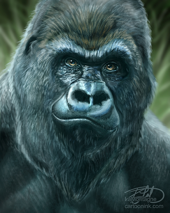 576x720 Gorilla Sketch Painting (Sort Of) - Gorilla Painting