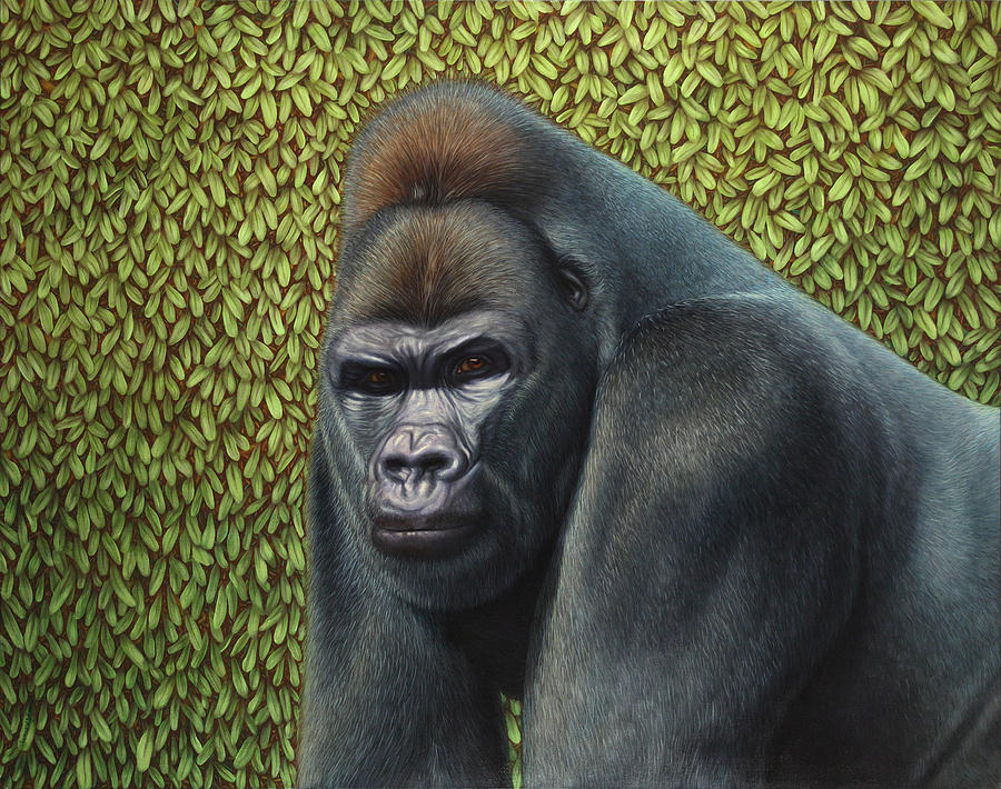 900x710 Gorilla With A Hedge Painting By James W Johnson - Gorilla Painting