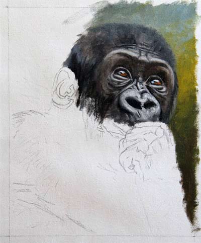 400x483 How To Paint A Gorilla - Gorilla Painting