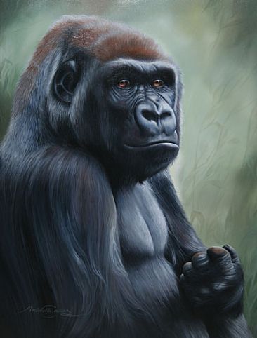 366x482 Gorilla - Gorilla Painting