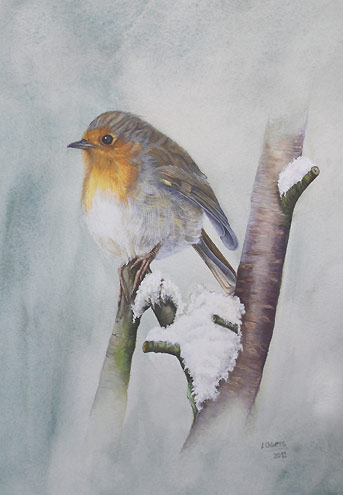 343x495 Robin Bird Painting By Bird Artist Lynn Gould - Gould Painting