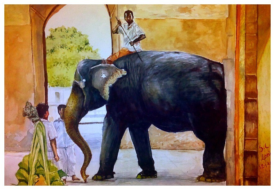 886x612 Buy Grace Of Elephant 139 Handmade Painting By Santosh Loni. Code - Grace Painting