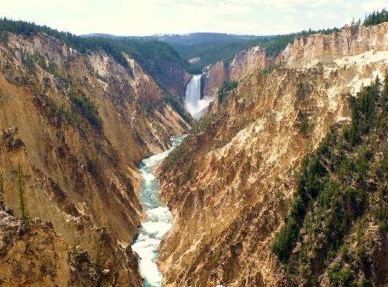 550x407 Like A Painting - Grand Canyon Of The Yellowstone Painting