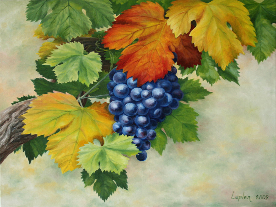 900x675 Grapevine By Art Lep - Grape Vine Painting