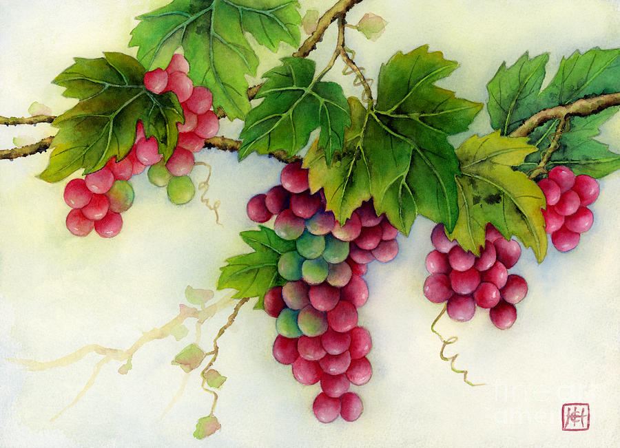 900x651 Grapes Painting By Hailey E Herrera - Grape Vine Painting