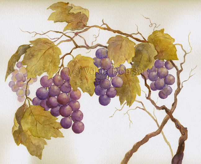 648x527 Grapes On The Vine - Grape Vine Painting