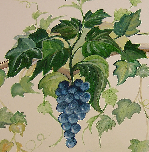 600x609 Grape And Vine Painting By Barbara Wilson - Grape Vine Painting