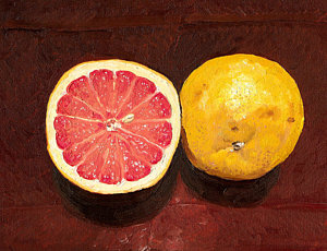 300x230 Grapefruits Oil Painting Painting By - Grapefruit Painting
