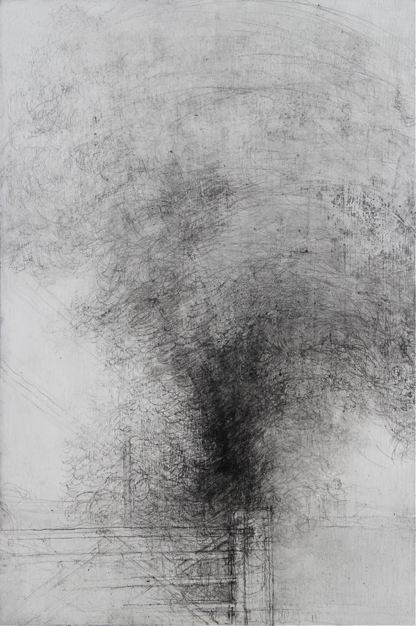 598x900 Landstills 2010 2011 Laurie Steen - Graphite Painting