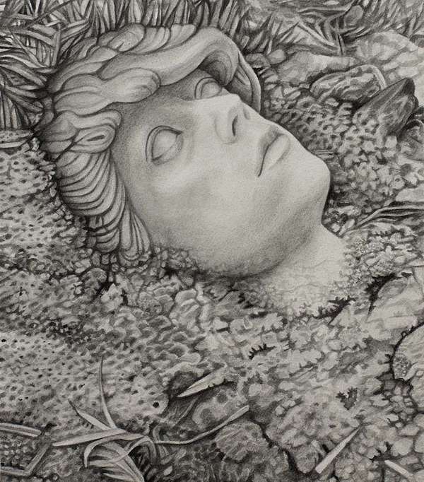 600x682 Liquid Graphite Paintings Pencil Portrait - Graphite Painting