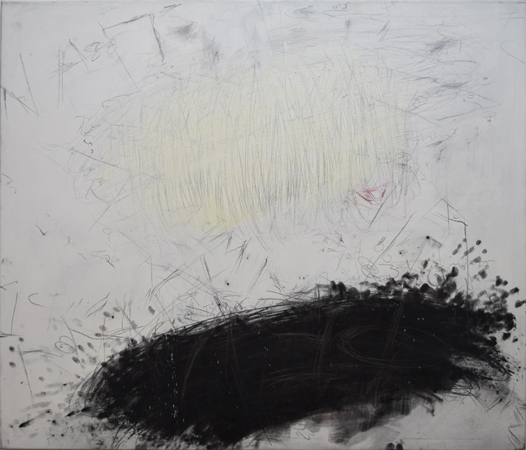 756x647 Fetza 2016 135x155cm Acrylic Paint Charcoal Wax Pastels Graphite - Graphite Painting