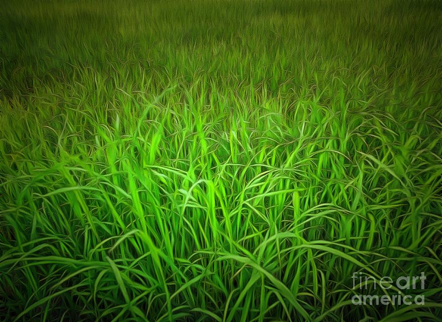 900x657 Original Watercolor Painting Of Green Grass Field Painting By - Grass Field Painting