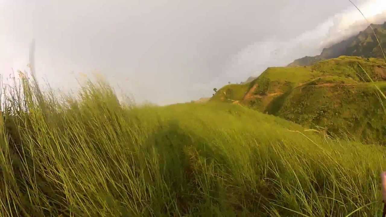 1280x720 Trekking Through Tall Grass Fields Around Cibadak (West Java - Grass Field Painting