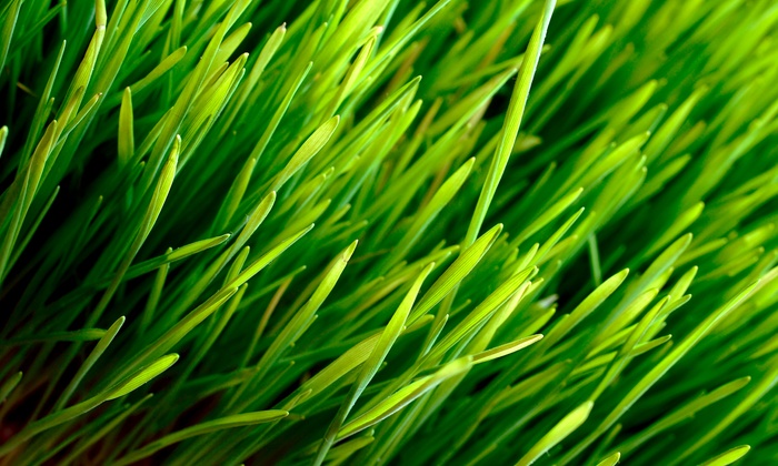 700x420 Triangle Grass Painting - Grass Painting