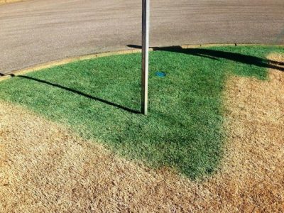 400x300 What Is Lawn Painting - Grass Painting