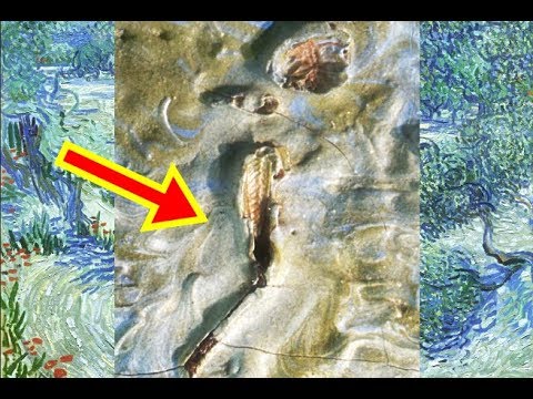 480x360 Grasshopper Found In Van Gogh Painting - Grasshopper Painting