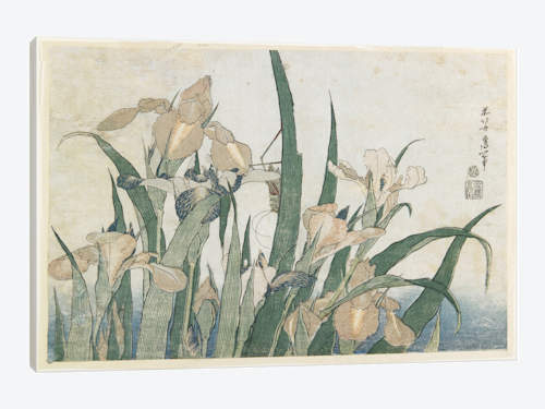 500x375 Iris Flowers And Grasshopper, C.1830 31 C Katsushika Hokusai - Grasshopper Painting
