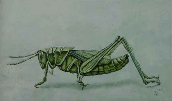 600x353 Grasshopper, Painting, Uko Post, 2009, Sankt Vith Li Belgium - Grasshopper Painting