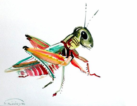 570x443 Grasshopper, Original Watercolor Painting, 9 X 12 In, Kids Wall - Grasshopper Painting