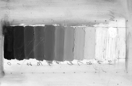 443x288 Painting Value Video - Grayscale Painting