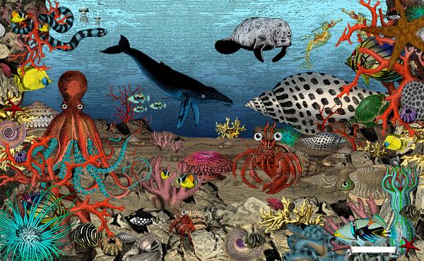 600x369 Great Barrier Reef Art Print From Wonder Garden Children's Book By - Great Barrier Reef Painting