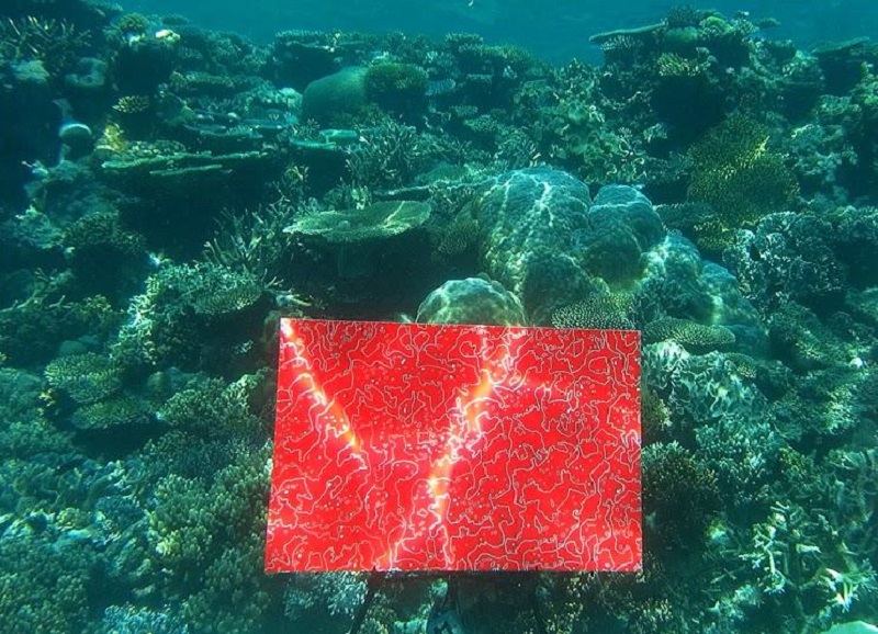 800x578 The Great Barrier Reef's Underwater Art Gallery - Great Barrier Reef Painting