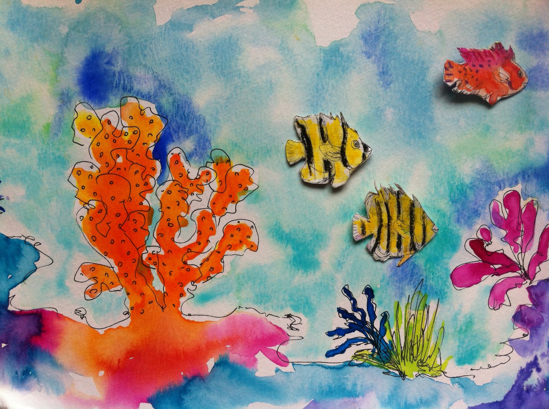 1800x1344 The Great Barrier Reef Dr Sue Pillans - Great Barrier Reef Painting