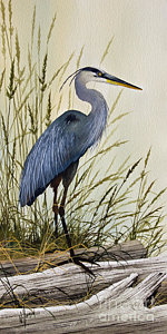 150x300 Great Blue Heron Paintings Fine Art America - Great Blue Heron Painting