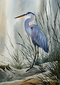 212x300 Great Blue Heron Paintings Pixels - Great Blue Heron Painting