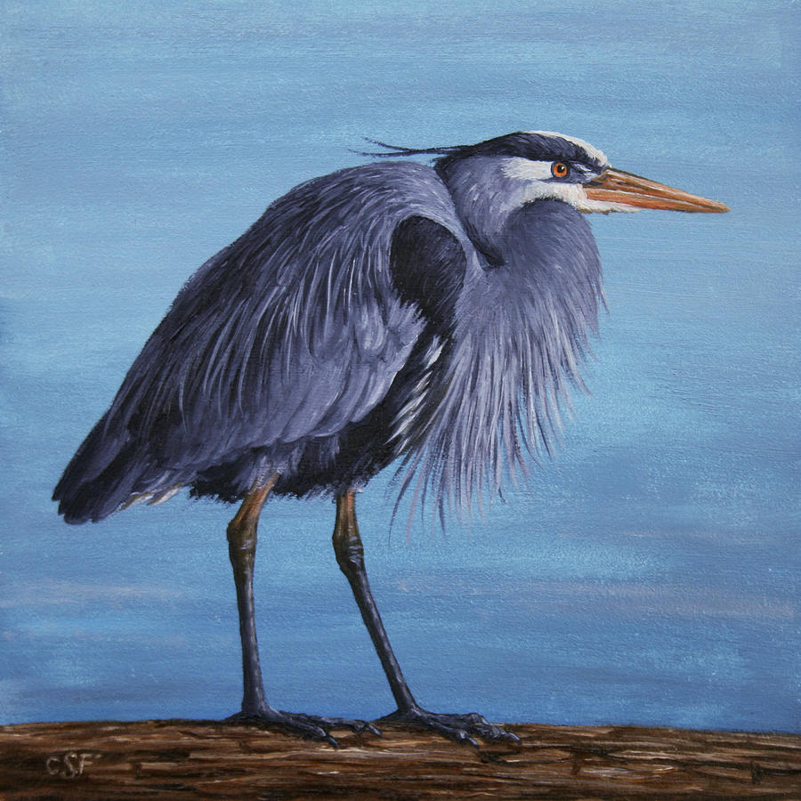 900x900 Great Blue Heron By Crista Forest - Great Blue Heron Painting