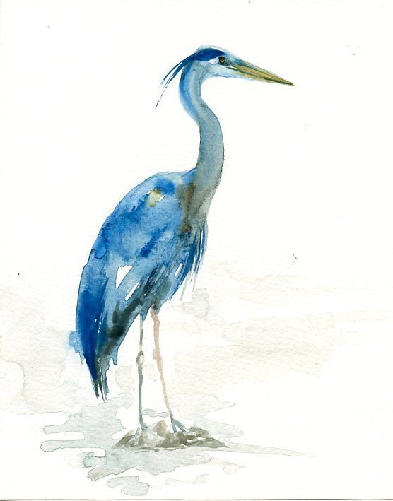 556x709 Great Blue Heron Original Watercolor Painting 8x10inch(Vertical - Great Blue Heron Painting