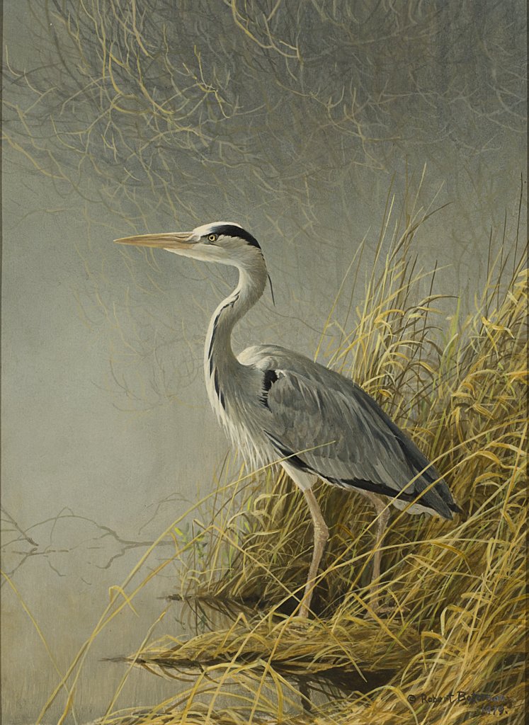 747x1024 Jackson Hole Art Auction Great Blue Heron - Great Blue Heron Painting