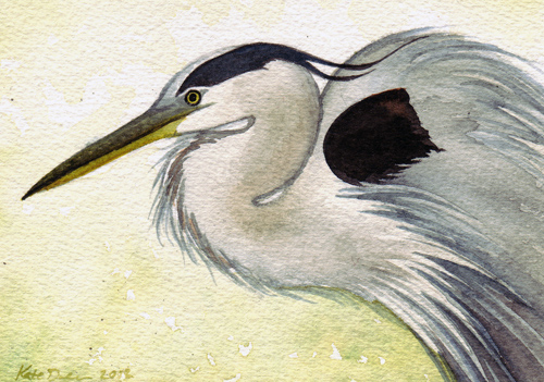 500x351 Little Painting Great Blue Heron. The Little Nuthatch - Great Blue Heron Painting