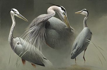 366x238 Great Blue Heron - Great Blue Heron Painting