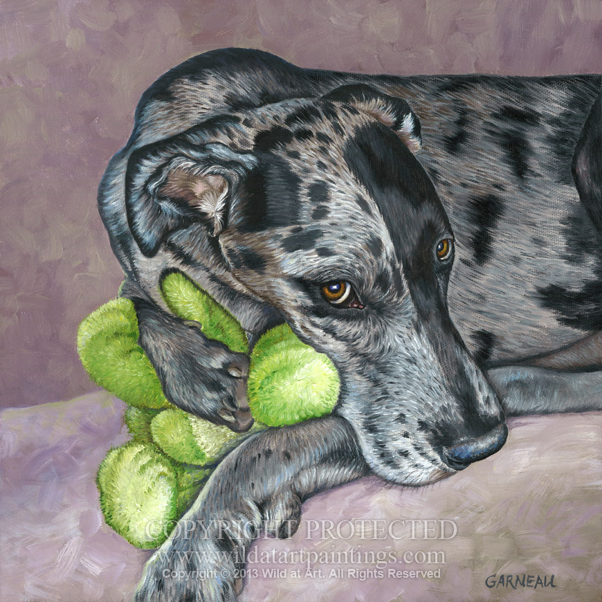 870x870 Pet Portrait Oil Paintings Gallery 3 - Great Dane Painting