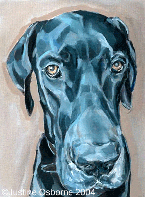 294x400 Dog Art By Paintmydog - Great Dane Painting