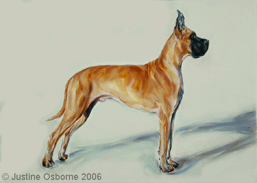 500x356 Dog Art By Paintmydog - Great Dane Painting