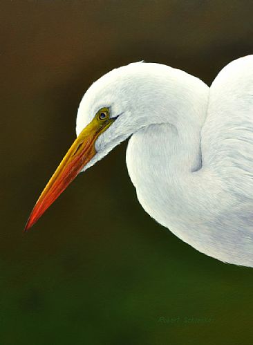 366x499 Great Egret - Great Egret Painting