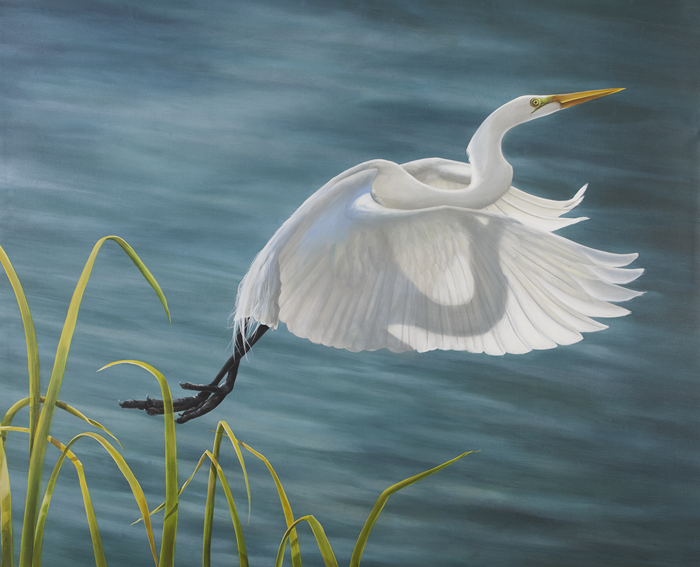 700x567 In Flightgreat White Egret Paintingird Paintingwildlife Art - Great Egret Painting