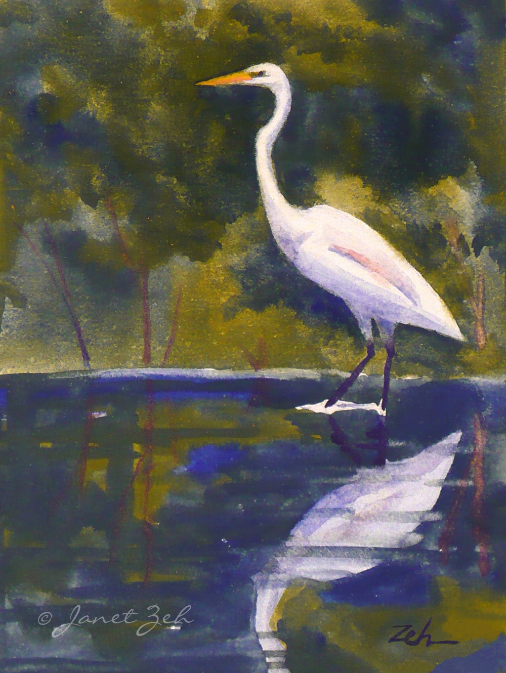 1000x1330 Janet Zeh Original Art Watercolor And Oil Paintings Great Egret - Great Egret Painting