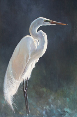265x400 Matthew Hillier Biography And Paintings - Great Egret Painting