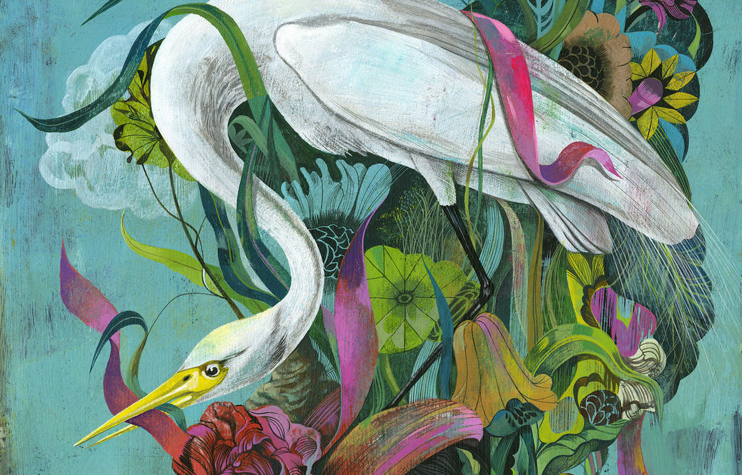 1080x692 Reimagining The Great Egret Audubon - Great Egret Painting