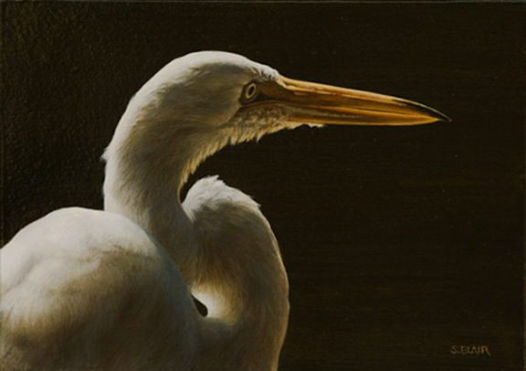 576x406 Finished Great Egret Painting Sandra Blair Art Blog - Great Egret Painting
