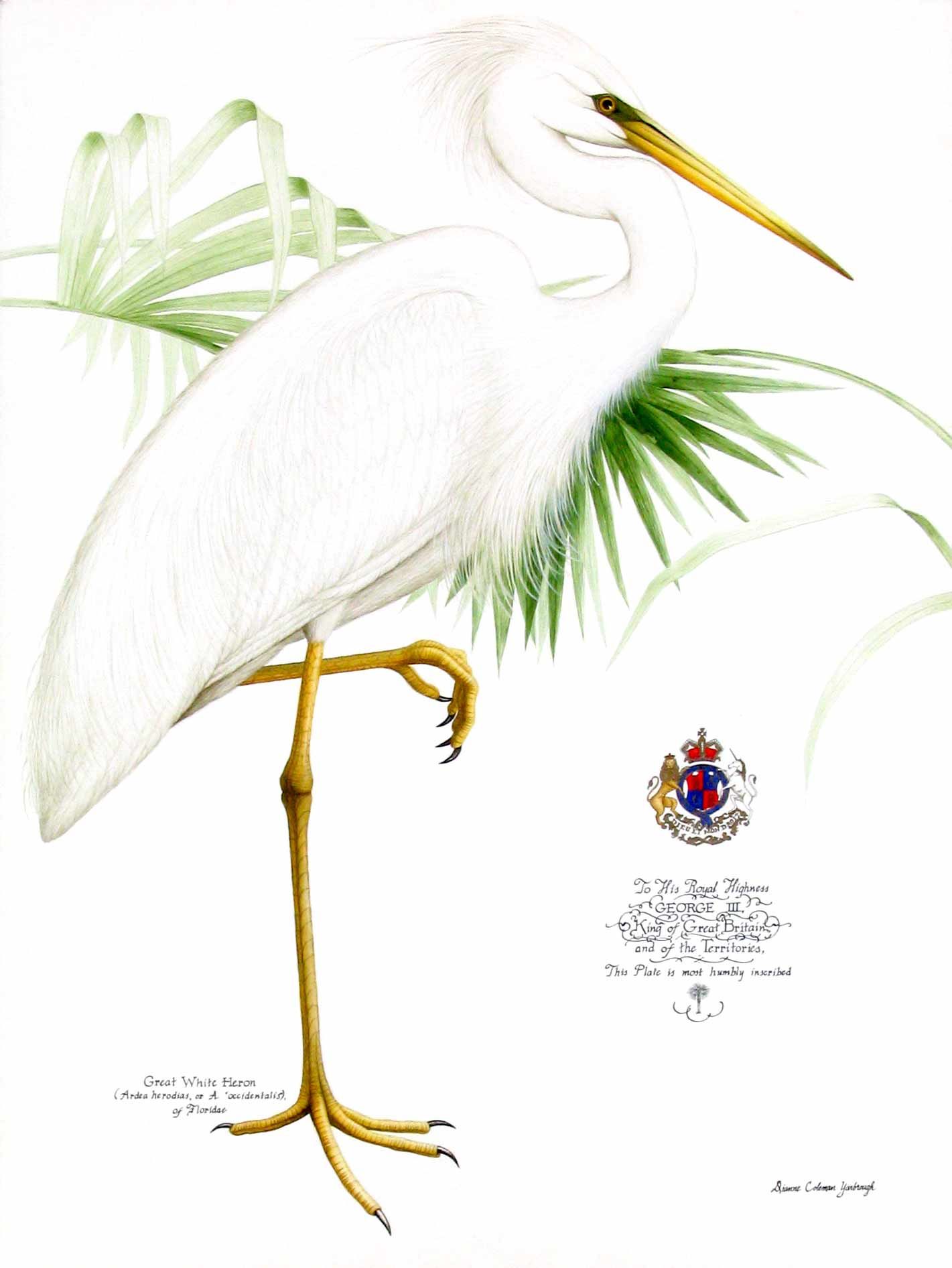 1421x1893 Great Egret, Watercolor Painting By Dianne Coleman, In Series - Great Egret Painting