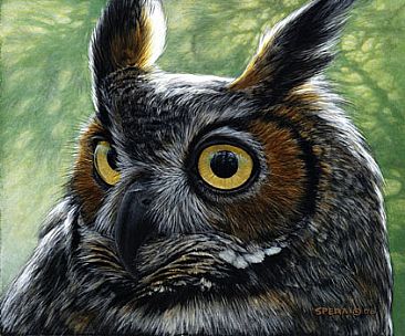 366x304 Great Horned Owl - Great Horned Owl Painting